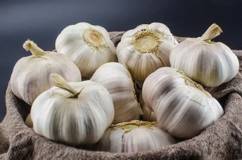 تصویر 3 از سیر فارس کوچک با حبه‌ های ریز و بافت متراکم